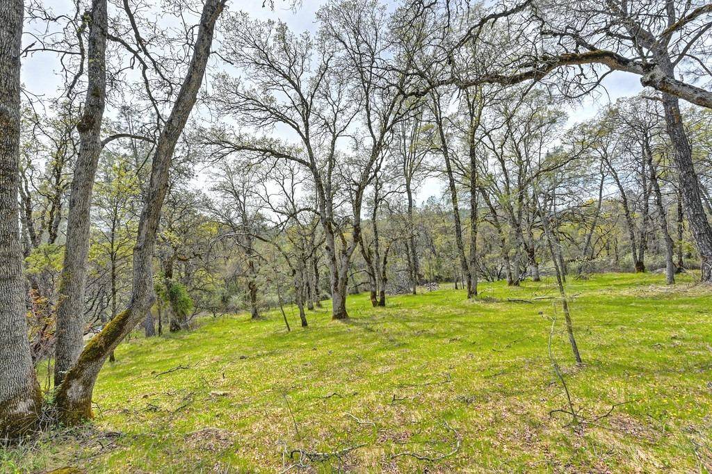 Greenwood, CA 95635,0 Rd 878