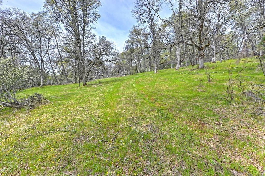 Greenwood, CA 95635,0 Rd 878