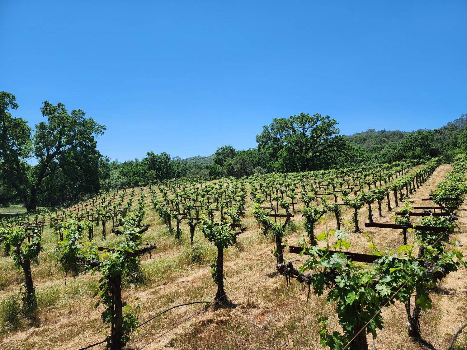 Shingle Springs, CA 95682,5720 French Creek Road