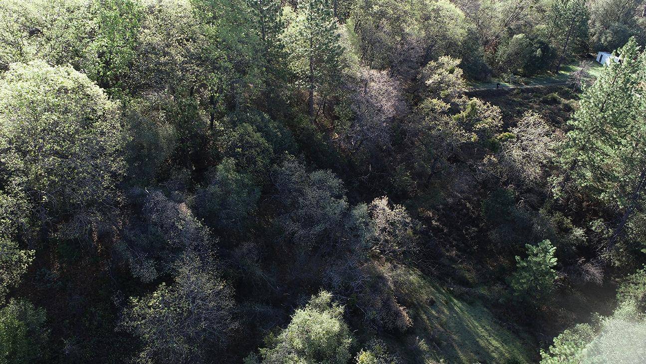 Greenwood, CA 95635,0 Liquid Amber LN