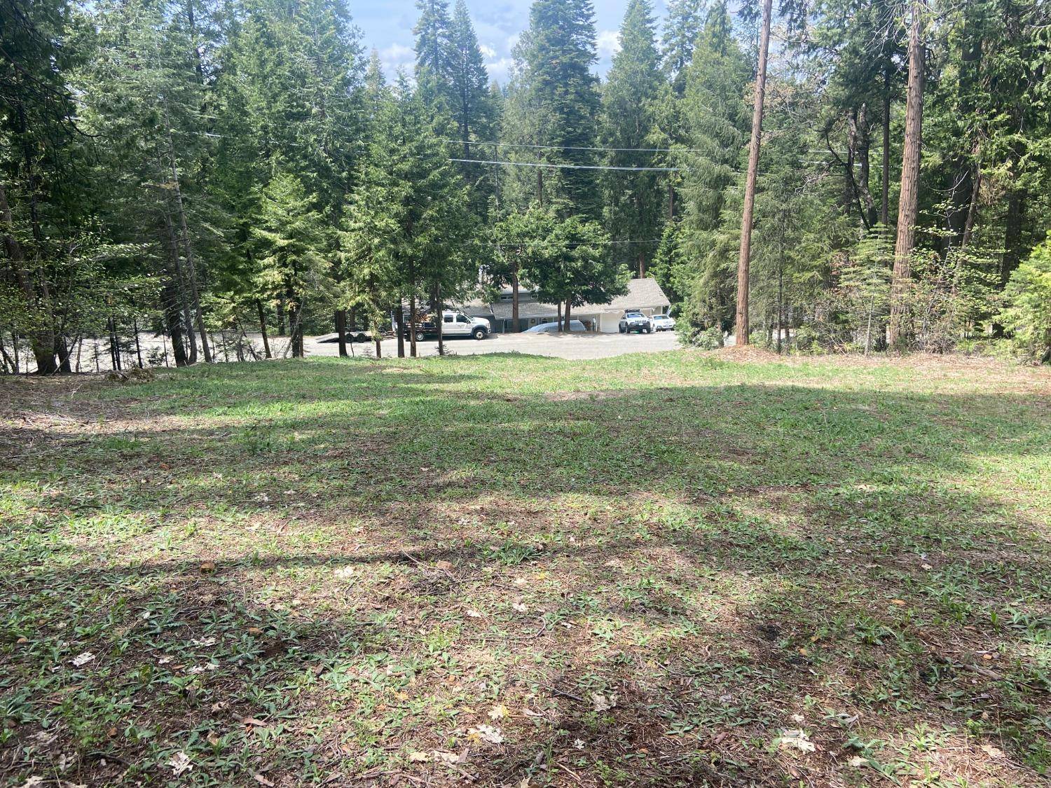 Pollock Pines, CA 95726,3193 Hazel ST