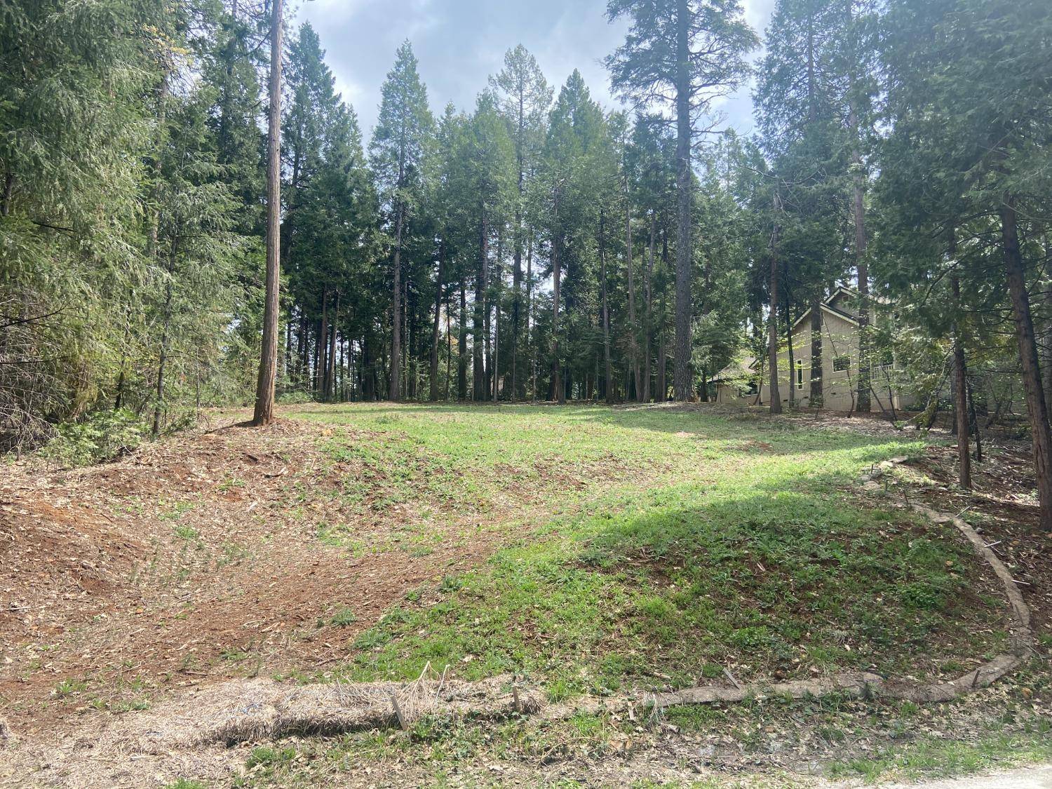 Pollock Pines, CA 95726,3193 Hazel ST