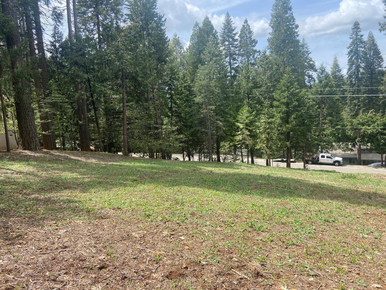 Pollock Pines, CA 95726,3193 Hazel ST