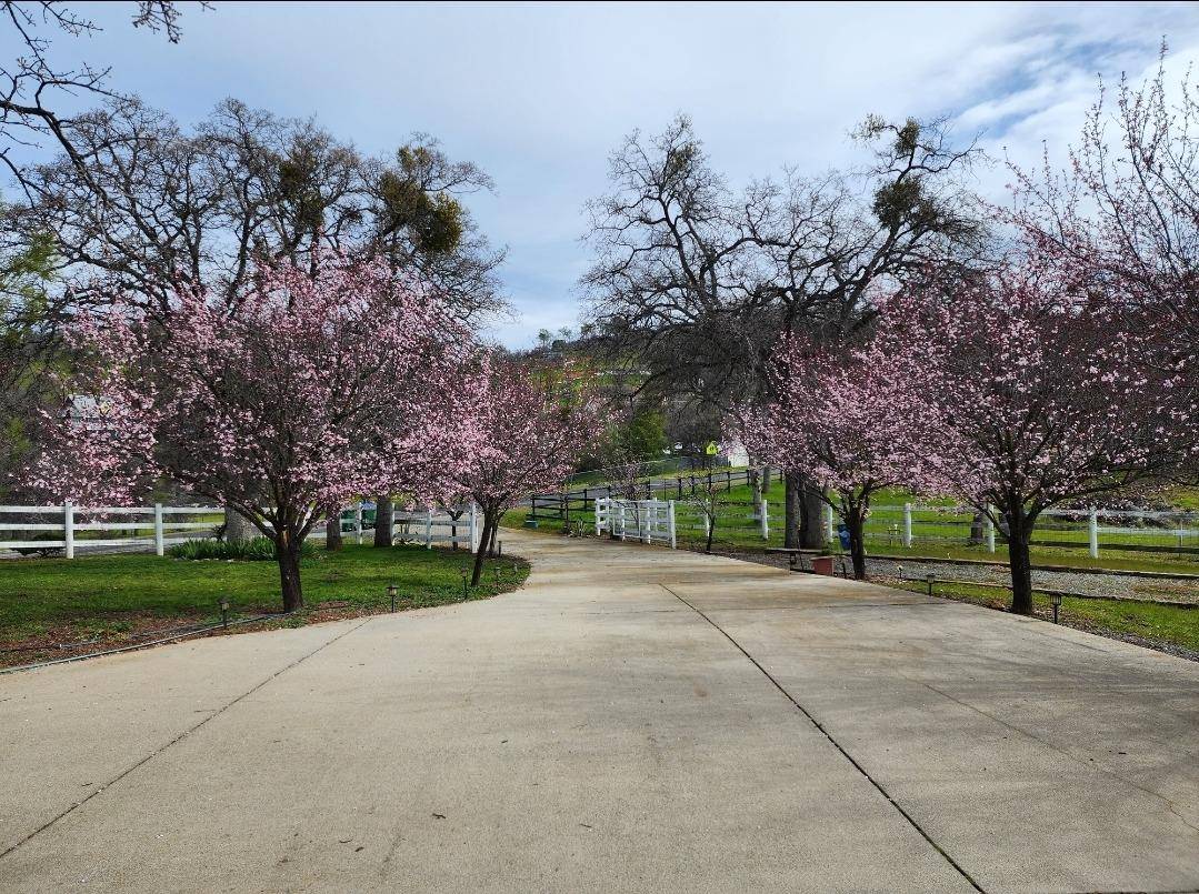 La Grange, CA 95329,13495 Molina ST