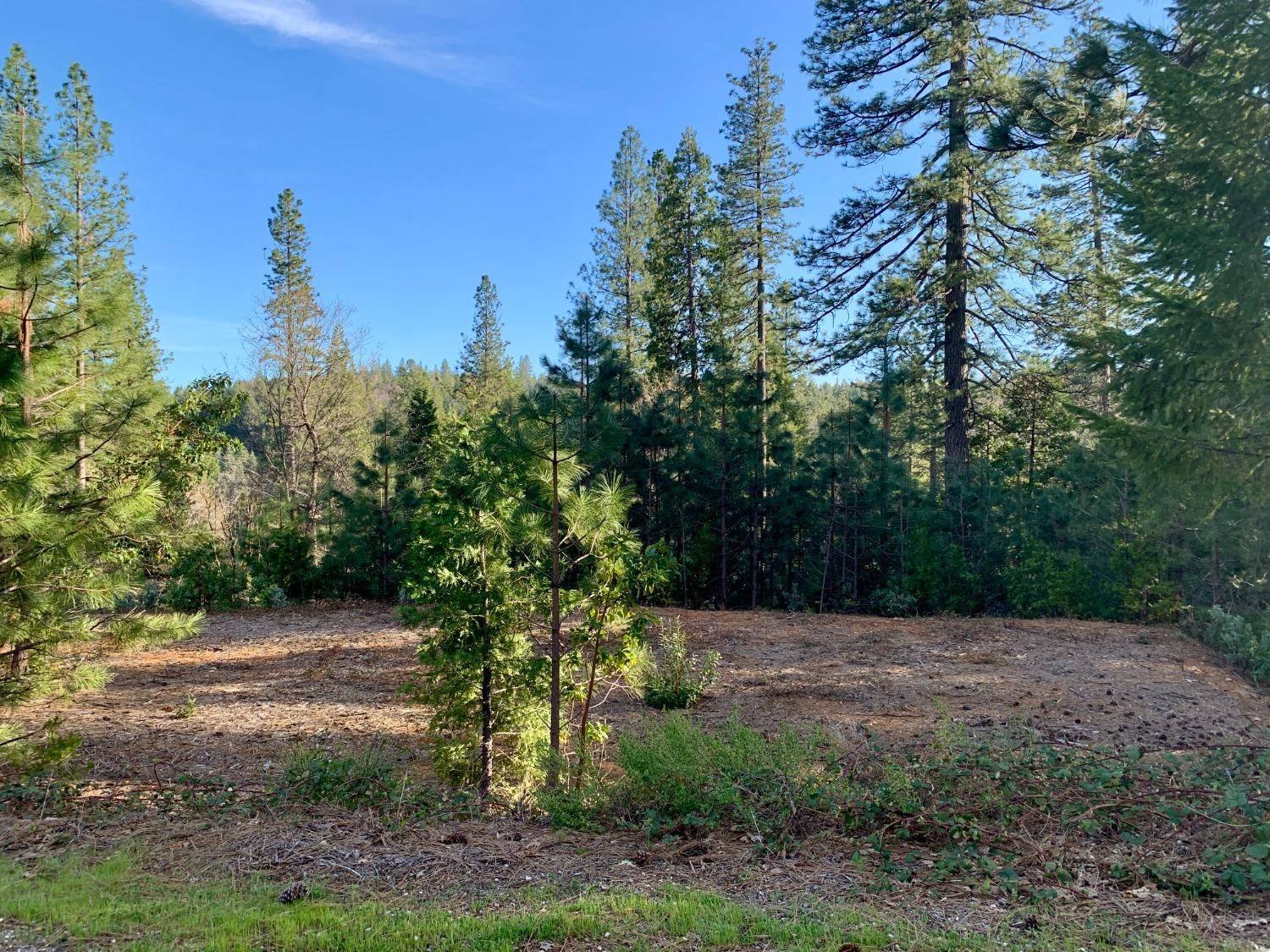 Grass Valley, CA 95945,12477 New Brunswick CT