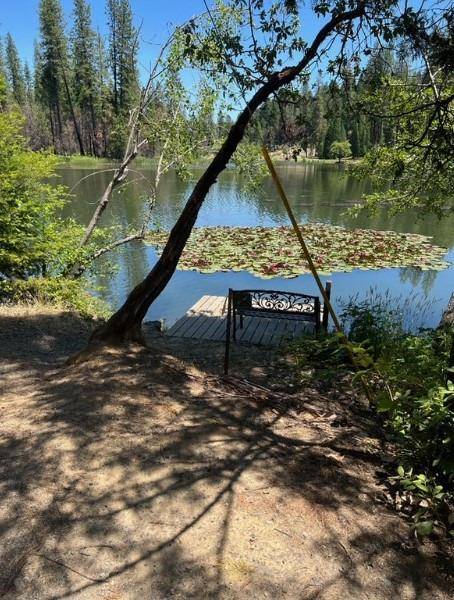 Berry Creek, CA 95916,0 Lakeside Way