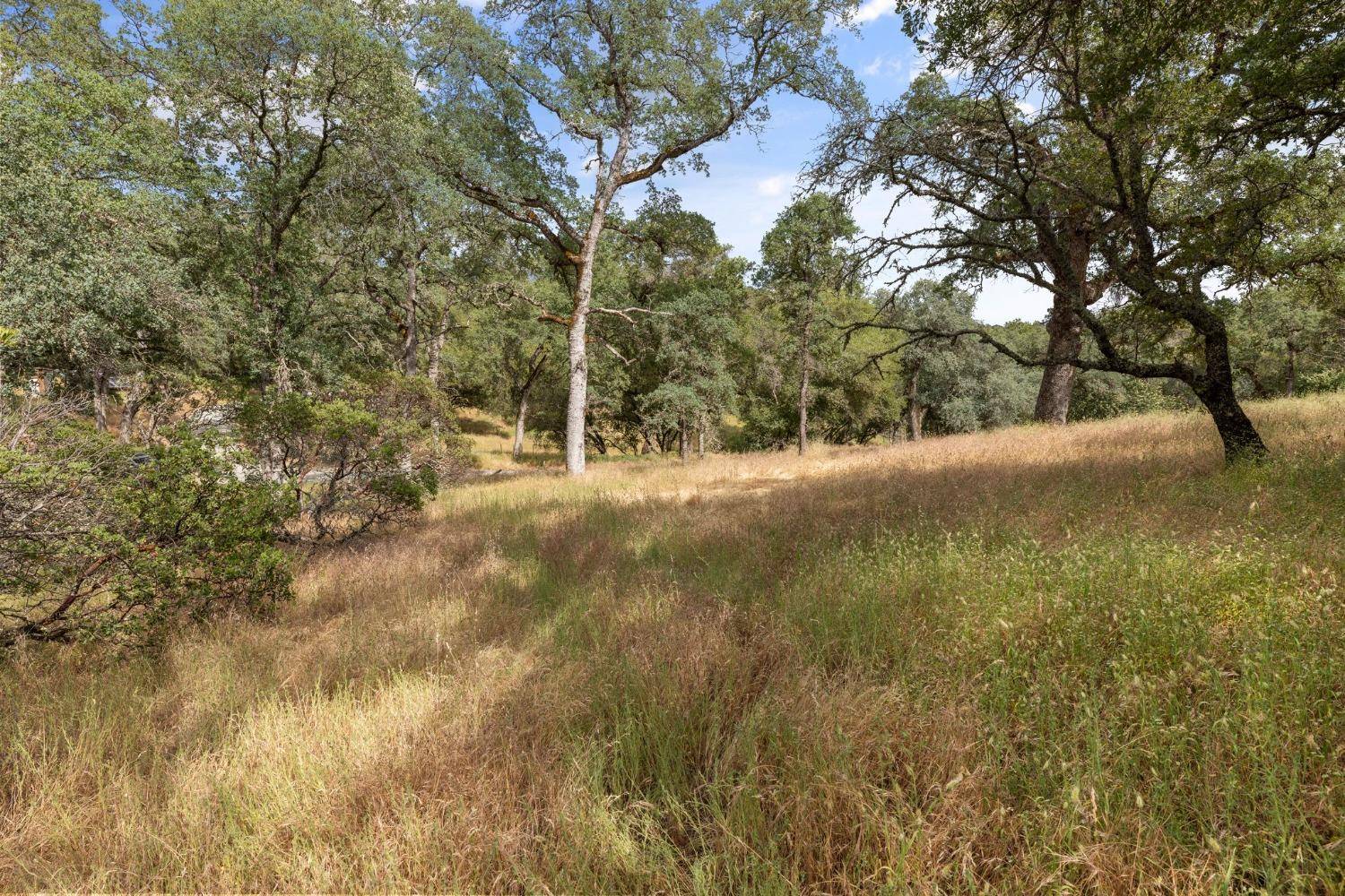 Plymouth, CA 95669,1 Bell RD