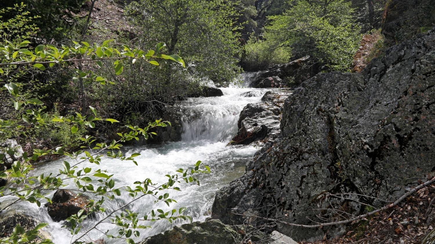 Sierra City, CA 96125,25555 CA 49