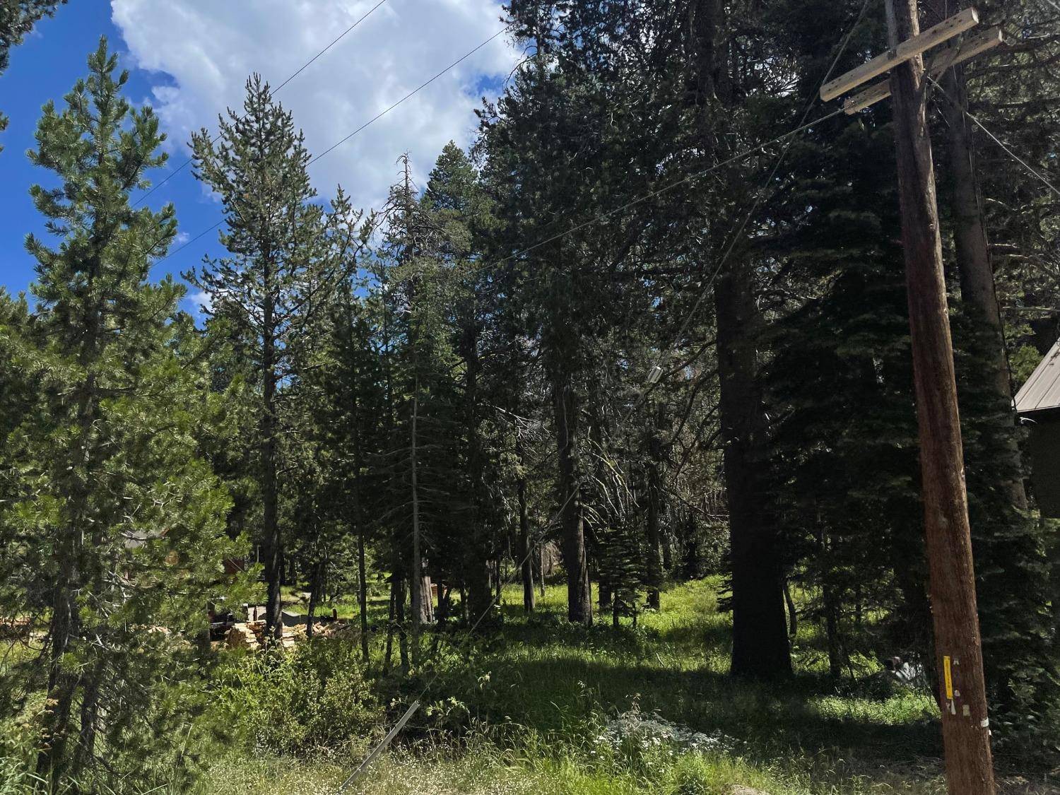 South Lake Tahoe, CA 96150,0 US Highway 50