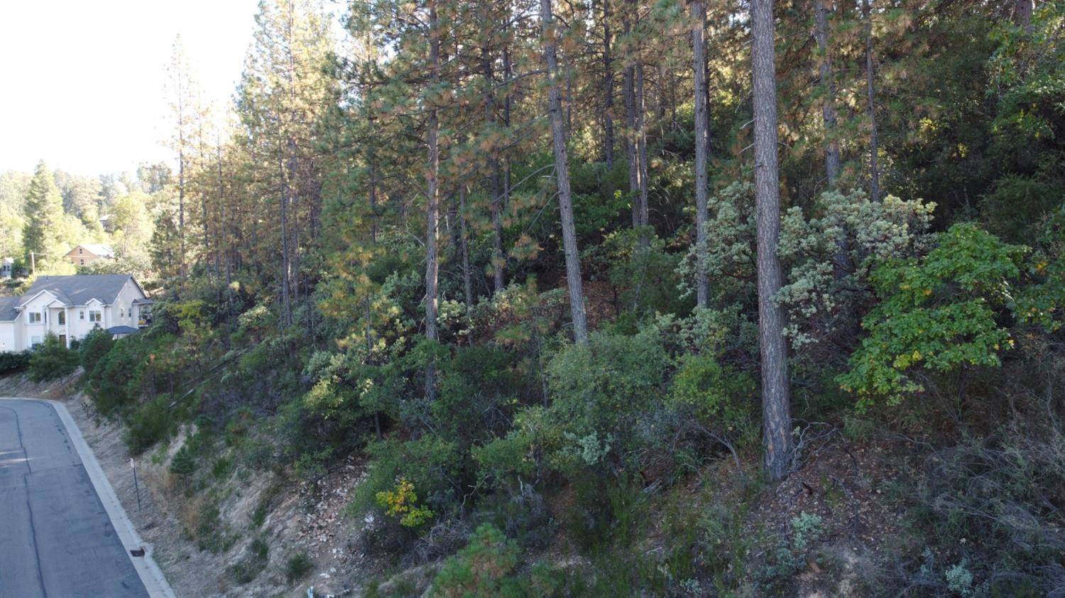 Placerville, CA 95667,5 Estey WAY