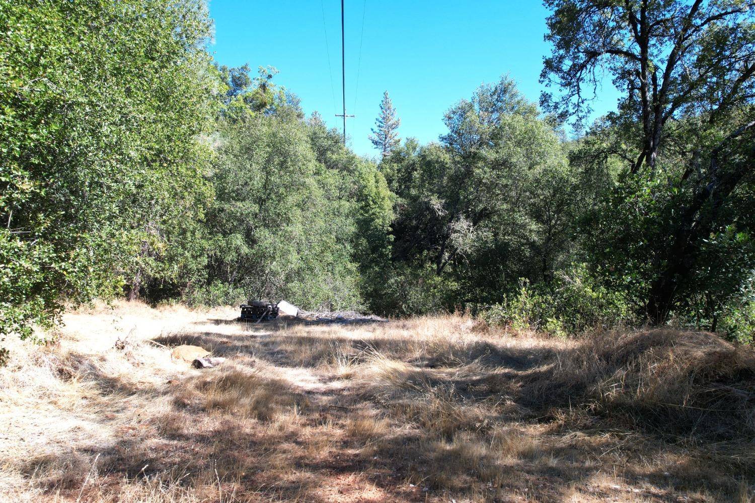 Fiddletown, CA 95629,Acres Fiddletown RD