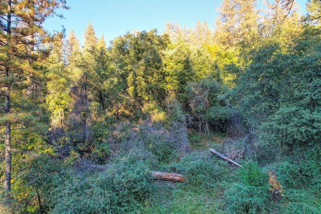 Greenwood, CA 95635,6 Sliger Mine RD