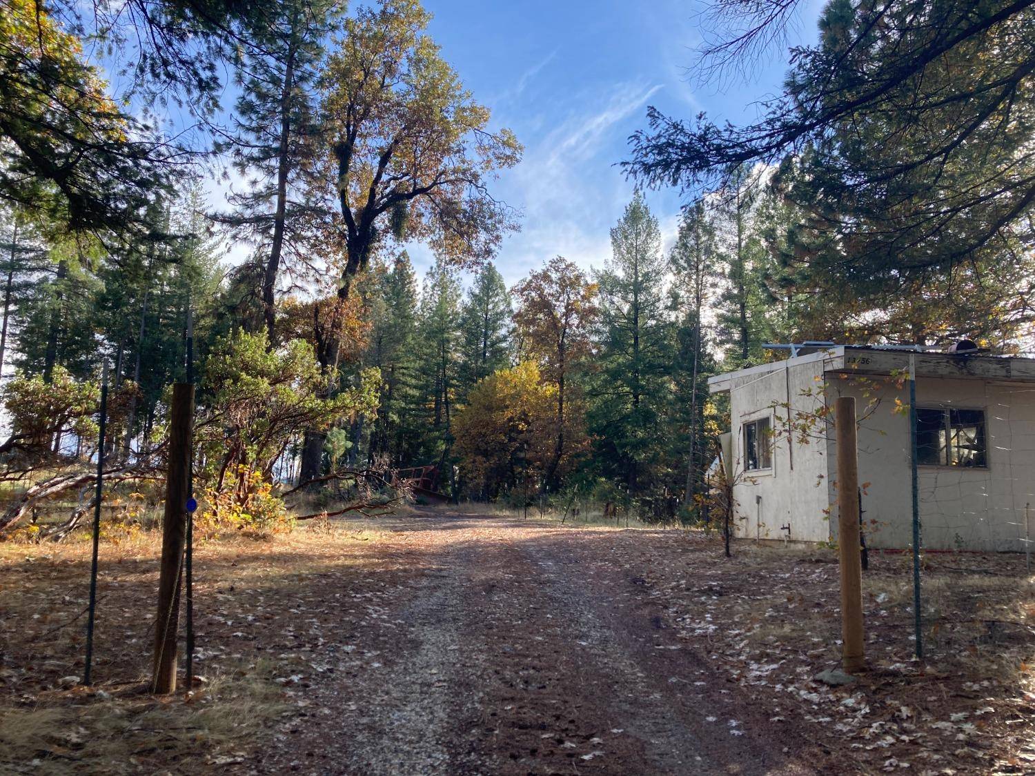 Grass Valley, CA 95945,13456 Brady RD