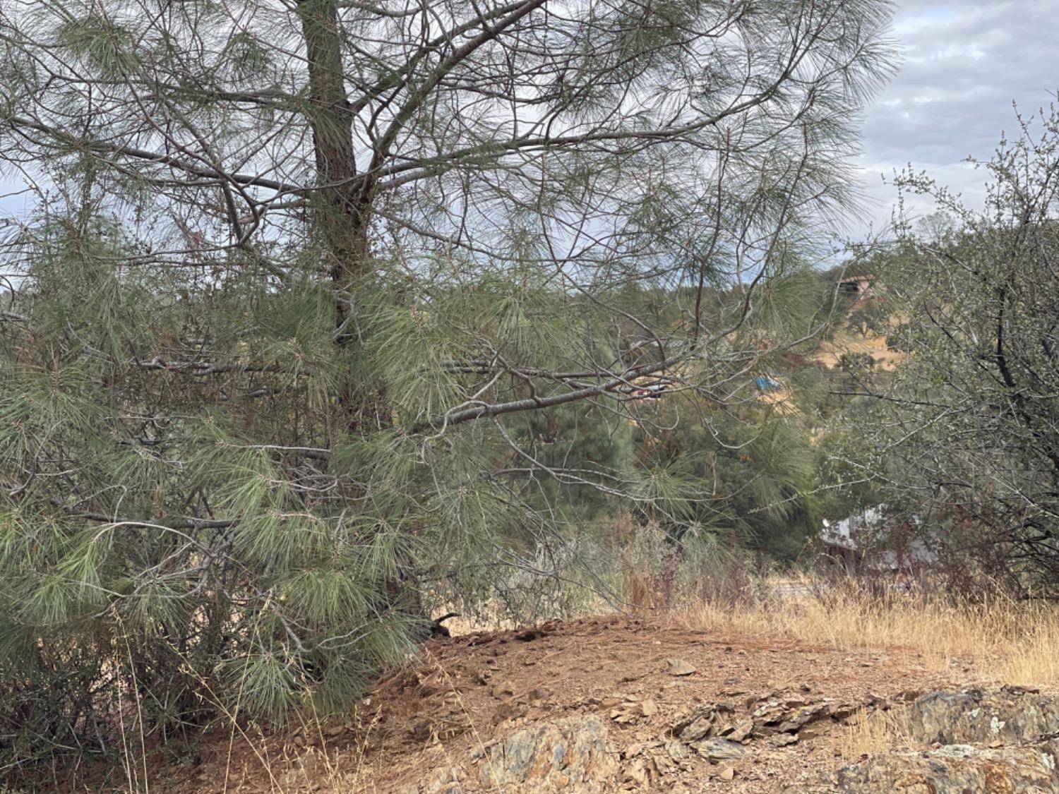 La Grange, CA 95329,0 Isabel WAY