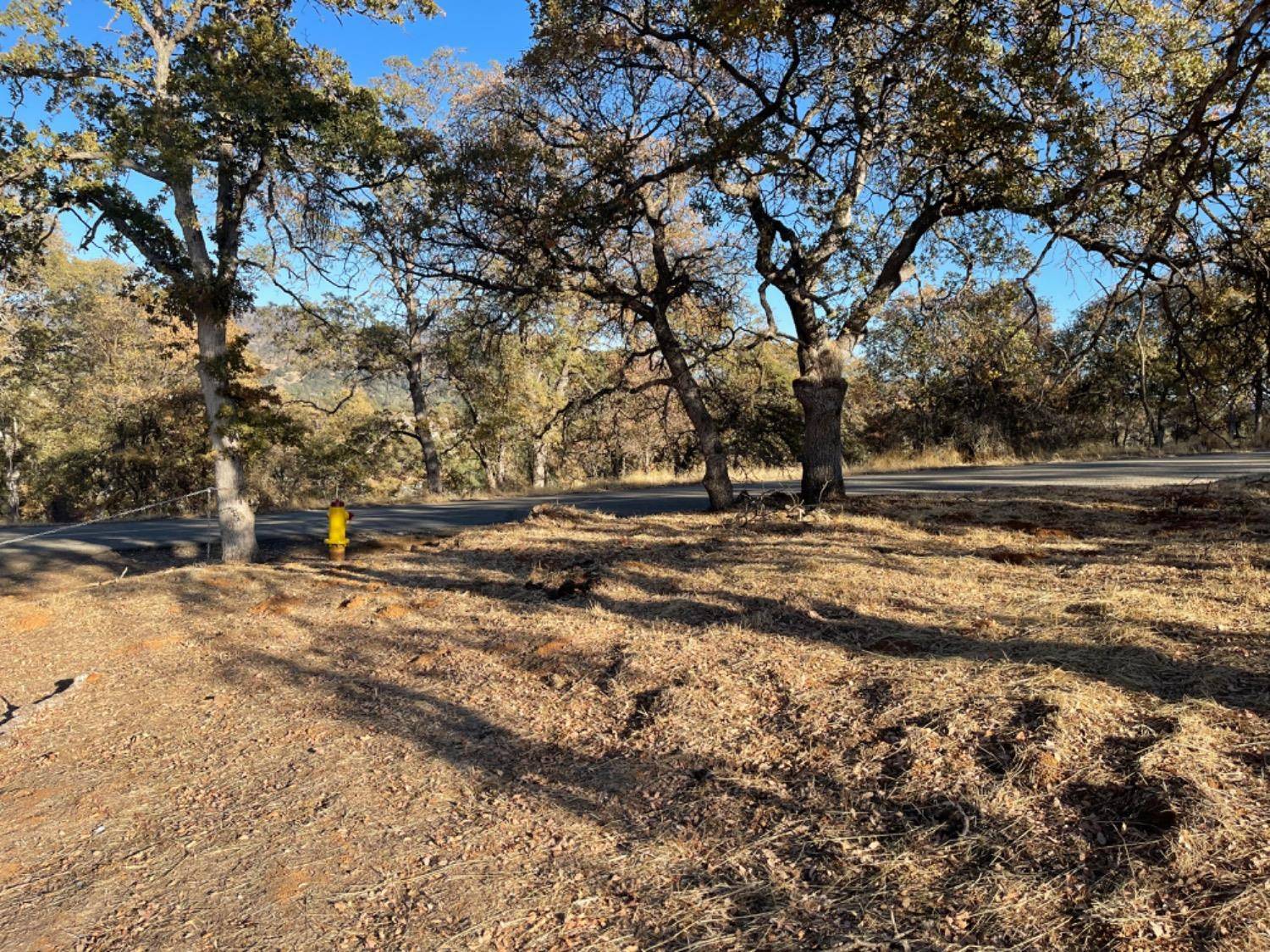 La Grange, CA 95329,5425 Arbolada DR