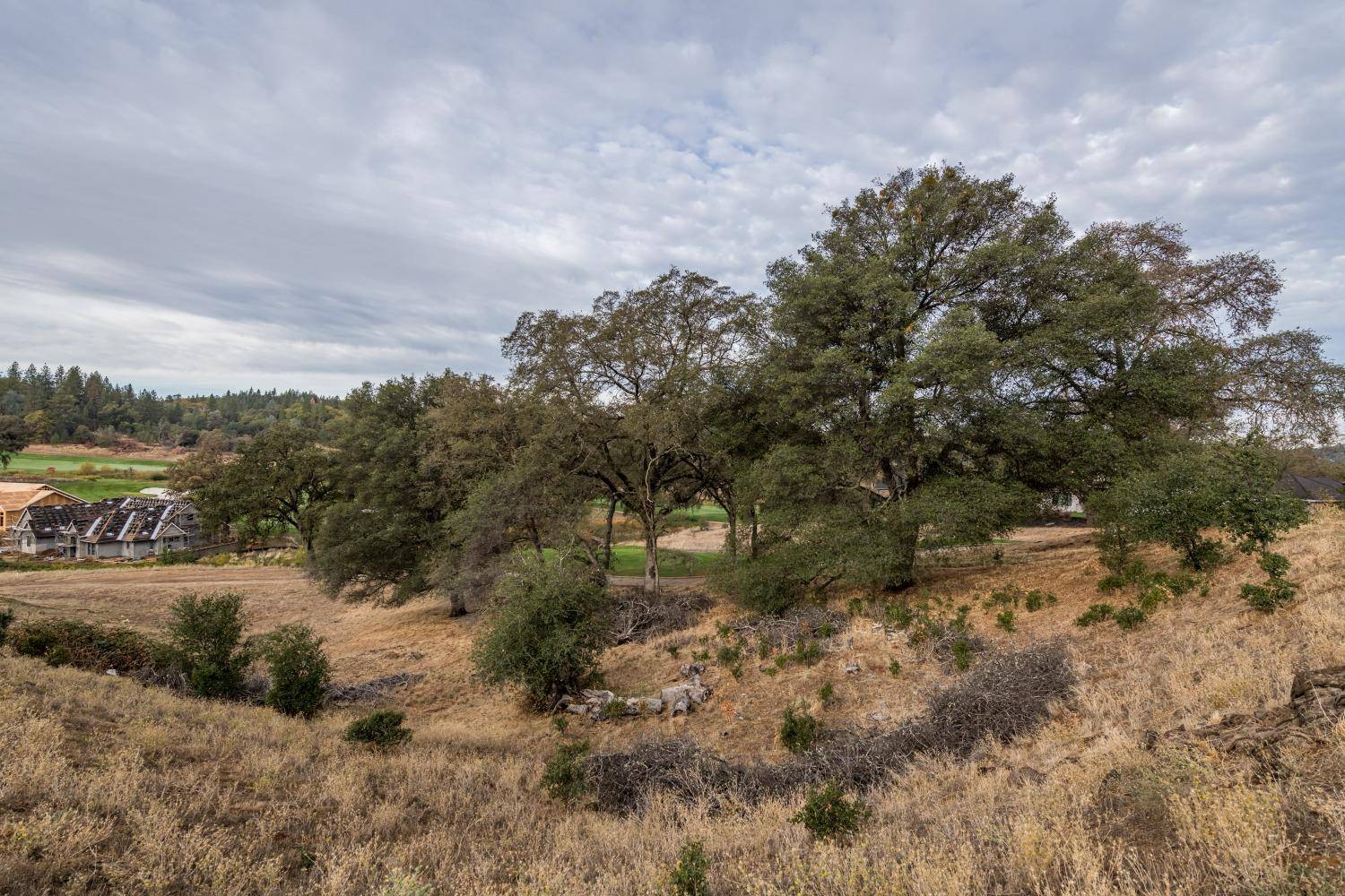 Auburn, CA 95602,Lot 39 Landon Evan LN