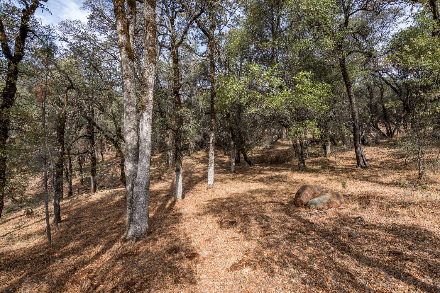 Auburn, CA 95602,Lot 204 Masters CT