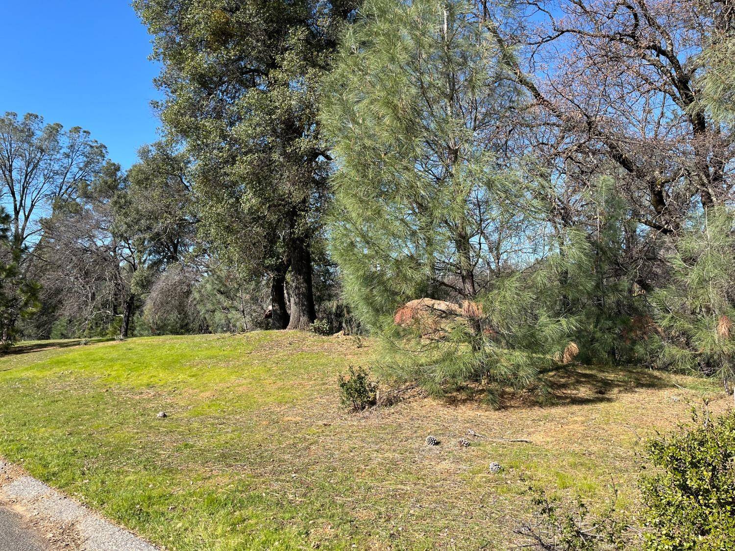 Auburn, CA 95602,Lot 83 Austin Forest CIR