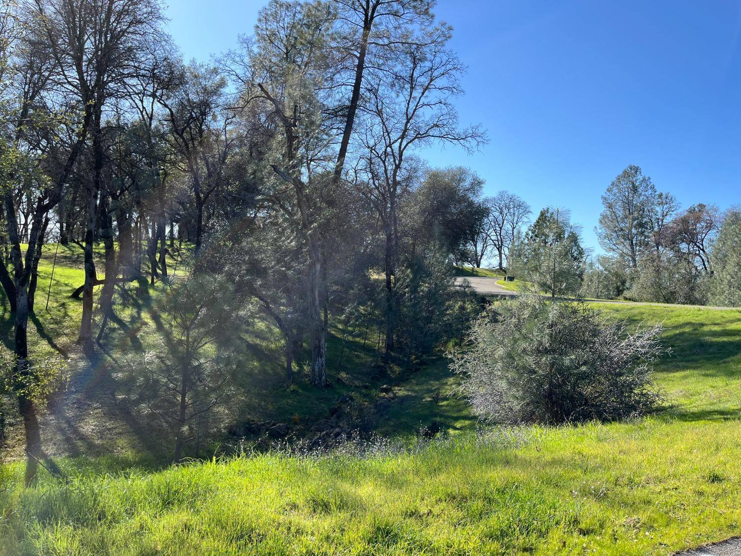 Auburn, CA 95602,Lot 100 Hogan RD