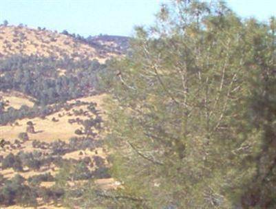 Copperopolis, CA 95228,5060 Fong DR