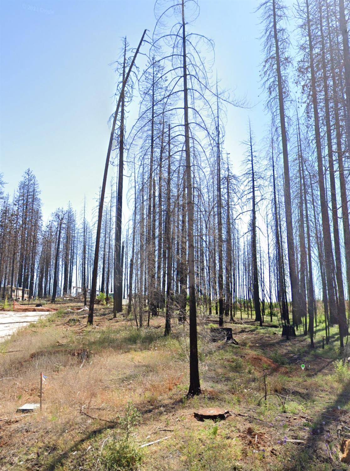 Grizzly Flats, CA 95636,5202 Wooded Glen RD