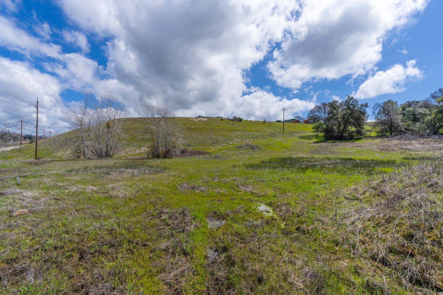 Sutter Creek, CA 95685,0 Ridge Road