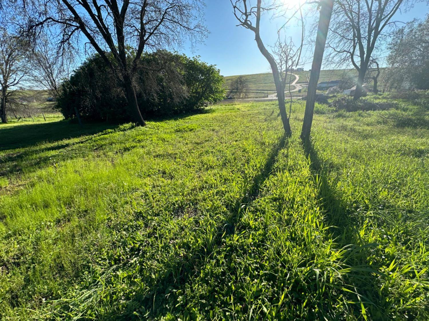 Shingle Springs, CA 95682,7512 Latrobe Triangle