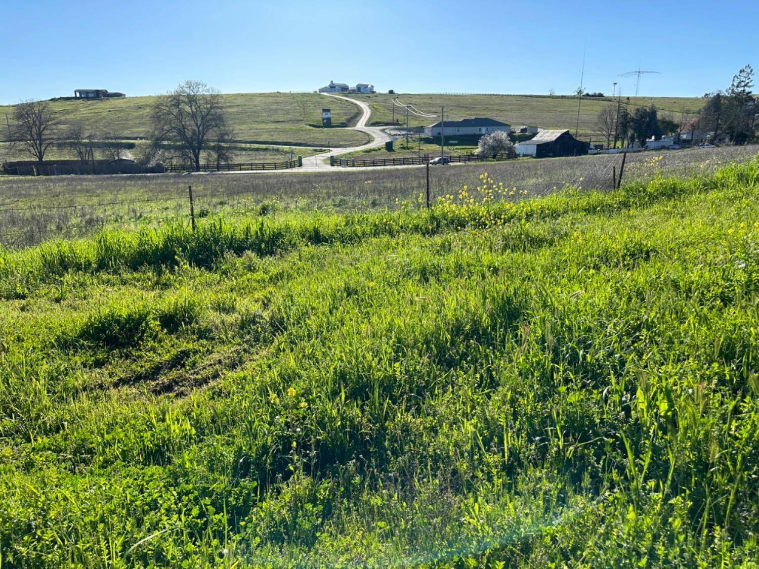 Shingle Springs, CA 95682,7512 Latrobe Triangle