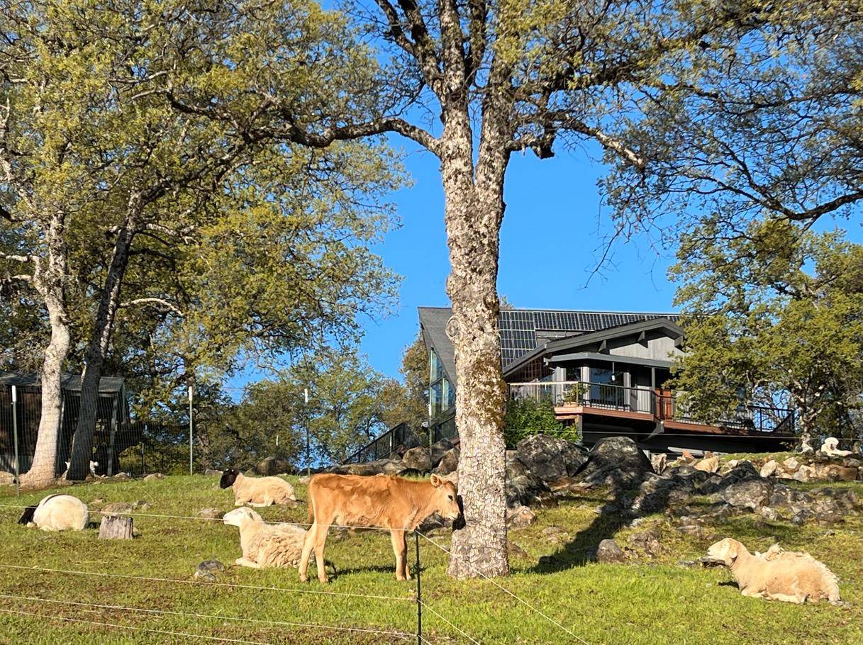 Penn Valley, CA 95946,19811 Wildwood West DR