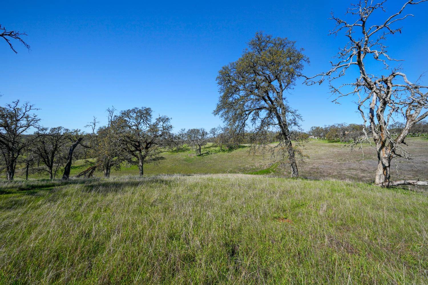 Wheatland, CA 95692,18700 Matthew RD
