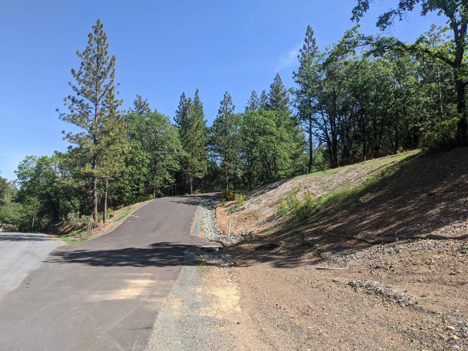 Colfax, CA 95713,3 Eden Forest DR