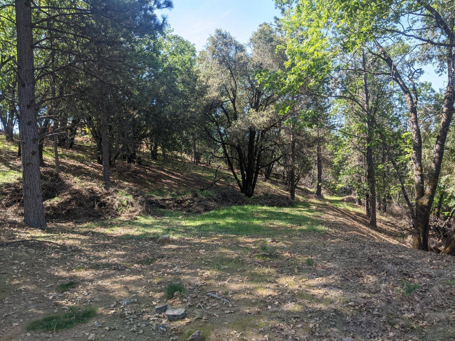 Colfax, CA 95713,3 Eden Forest DR