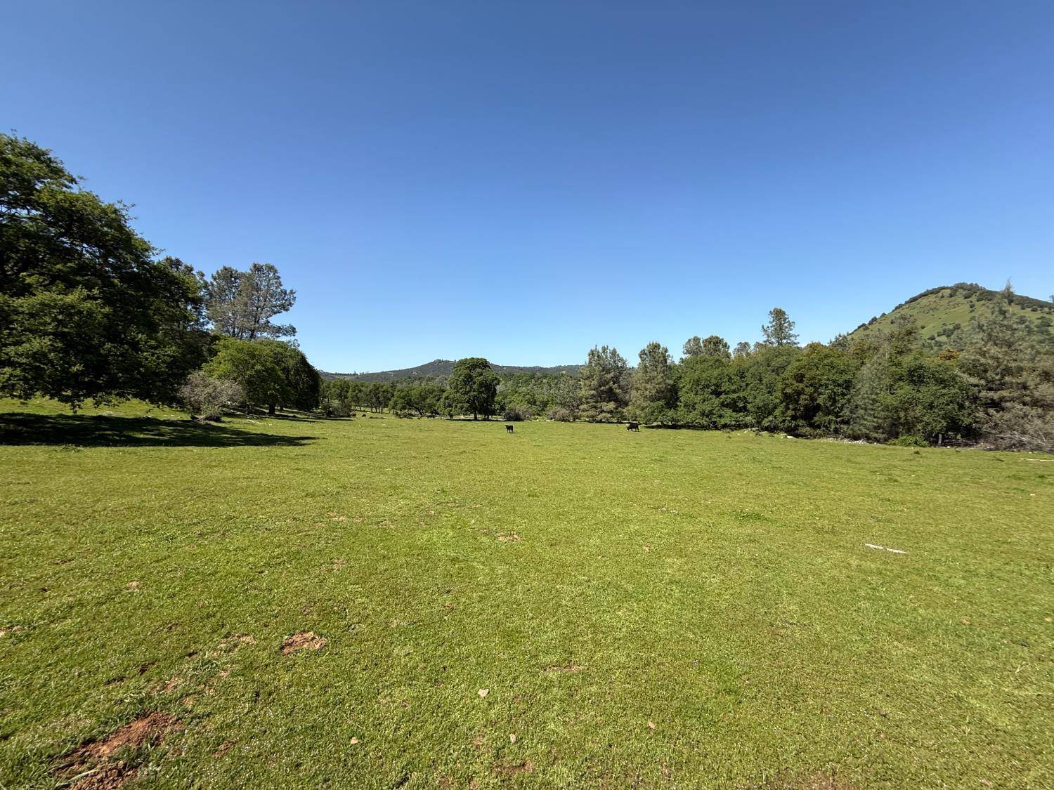 Vallecito, CA 95251,0 Airola Road