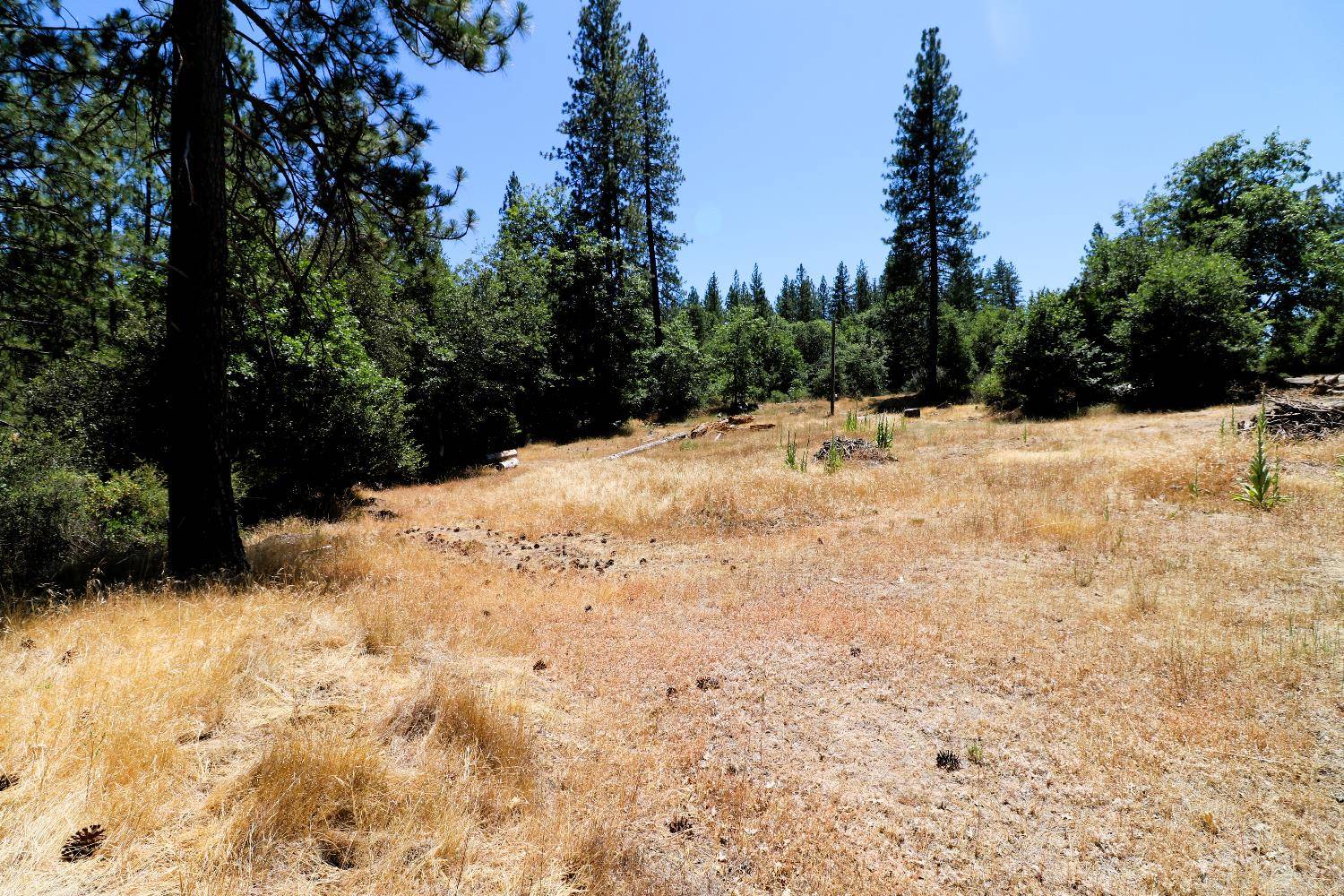 Rail Road Flat, CA 95248,1402 Meredith LN