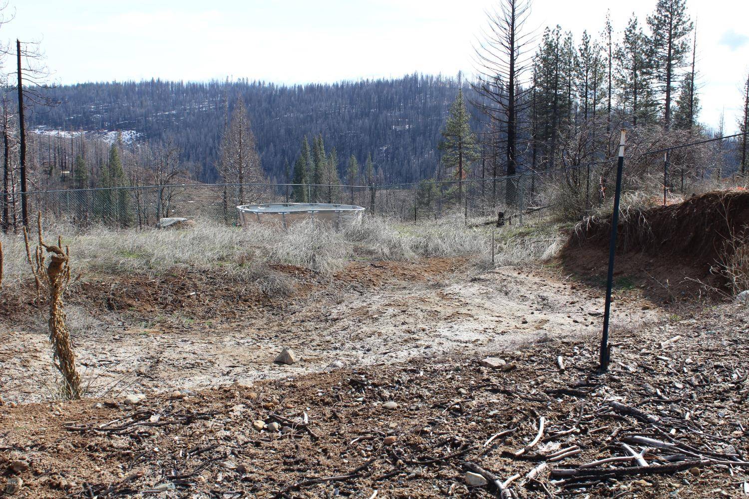 Grizzly Flats, CA 95636,4944 Deerwood DR