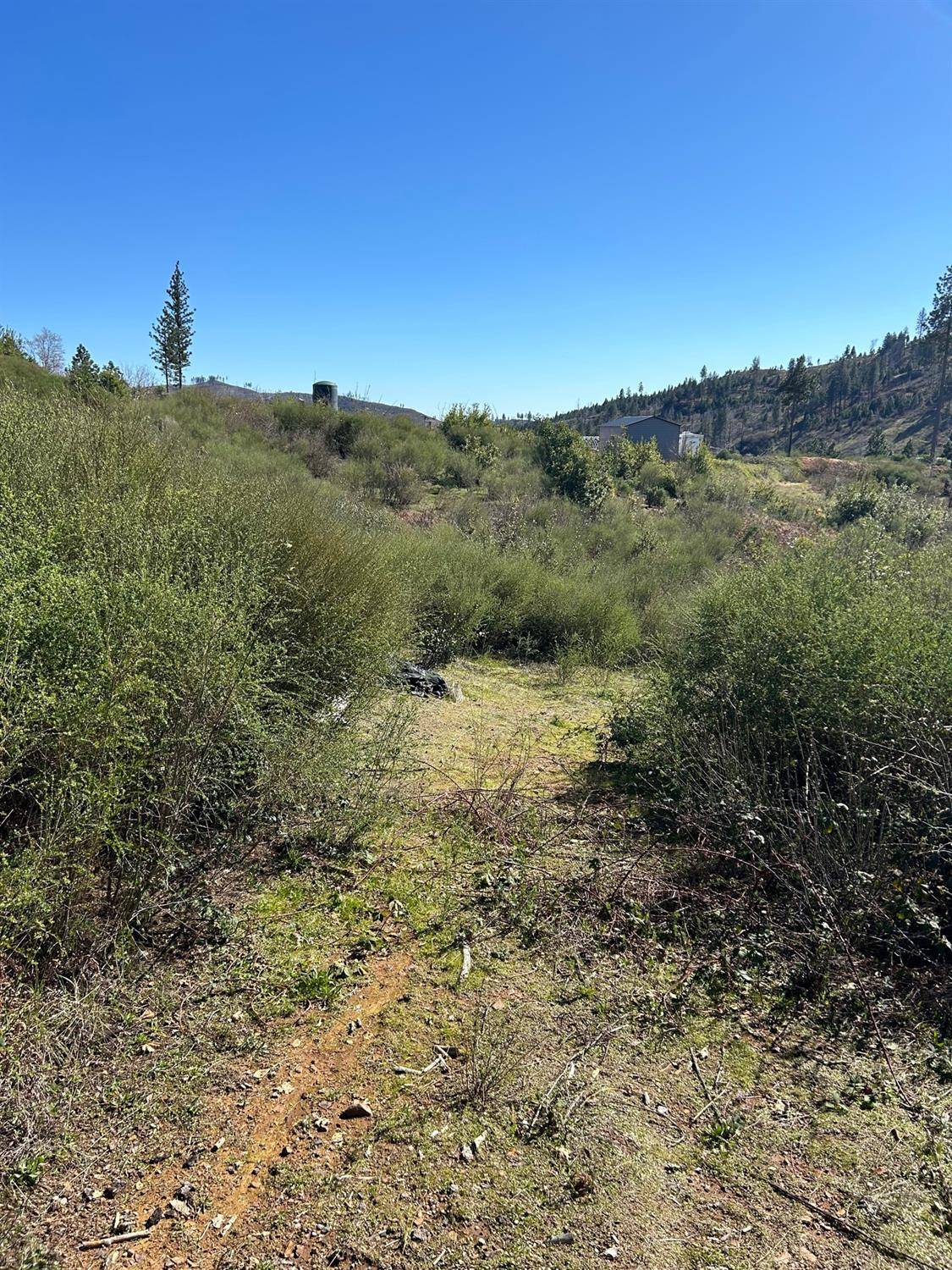 Oroville, CA 95969,1234 Hog Ranch RD
