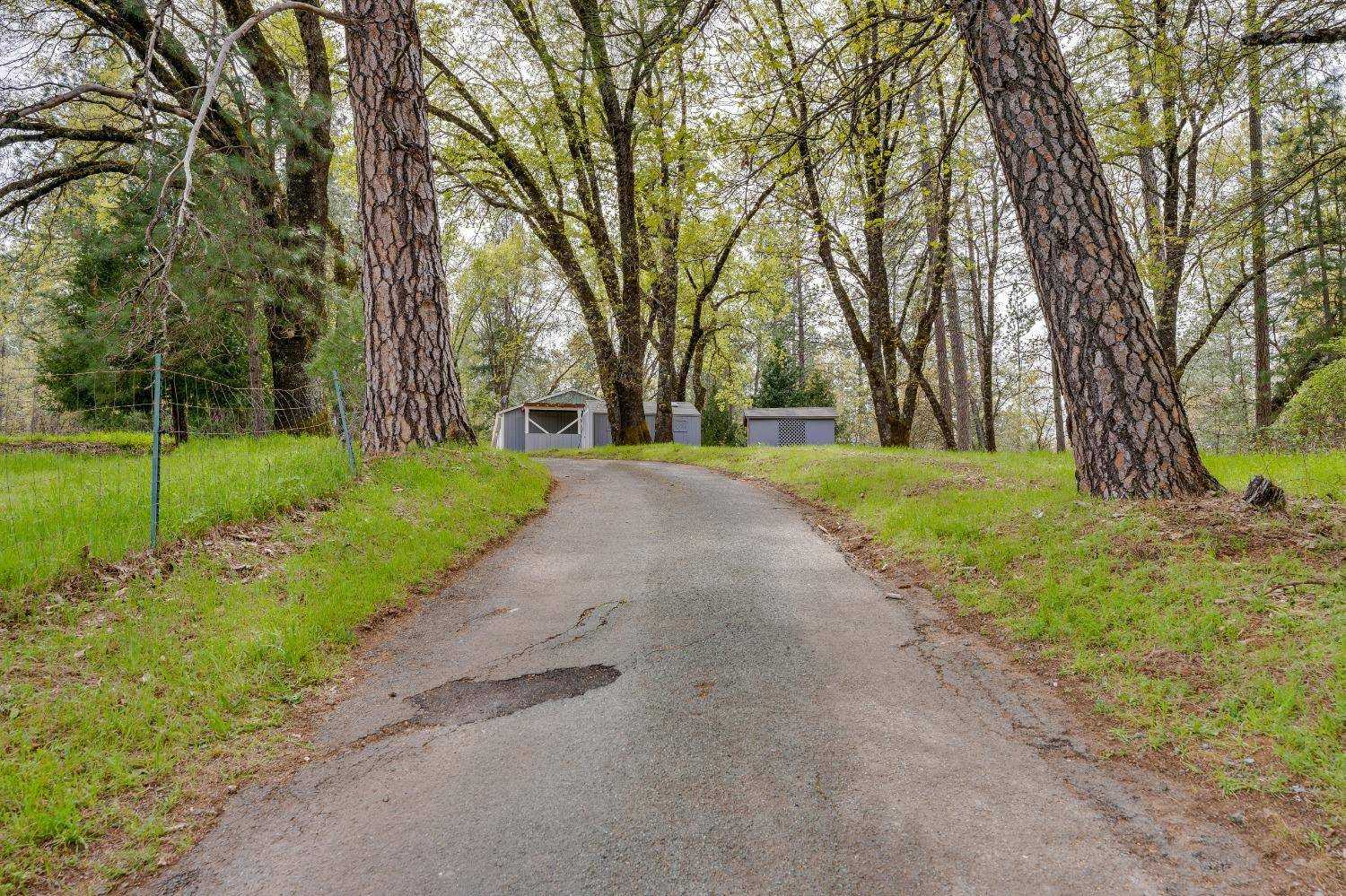 Meadow Vista, CA 95722,1989 Van Giesen DR