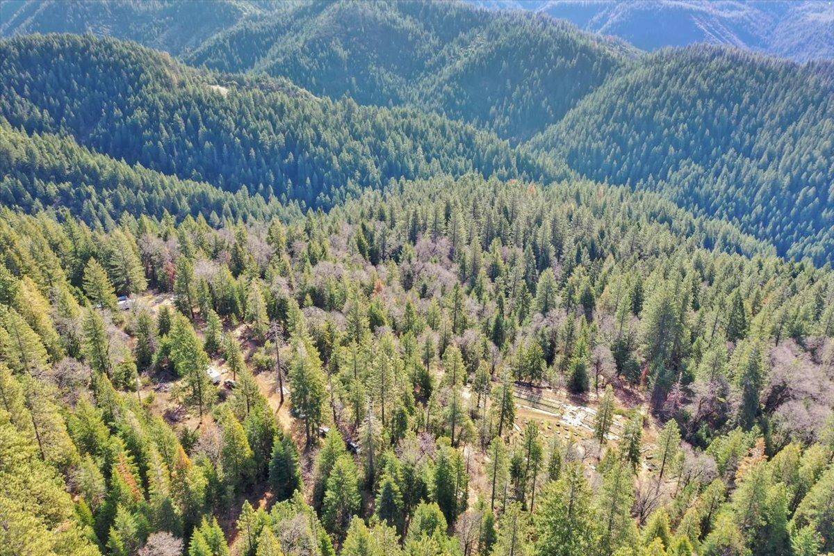 Alleghany, CA 95924,92 W Long Point Trail