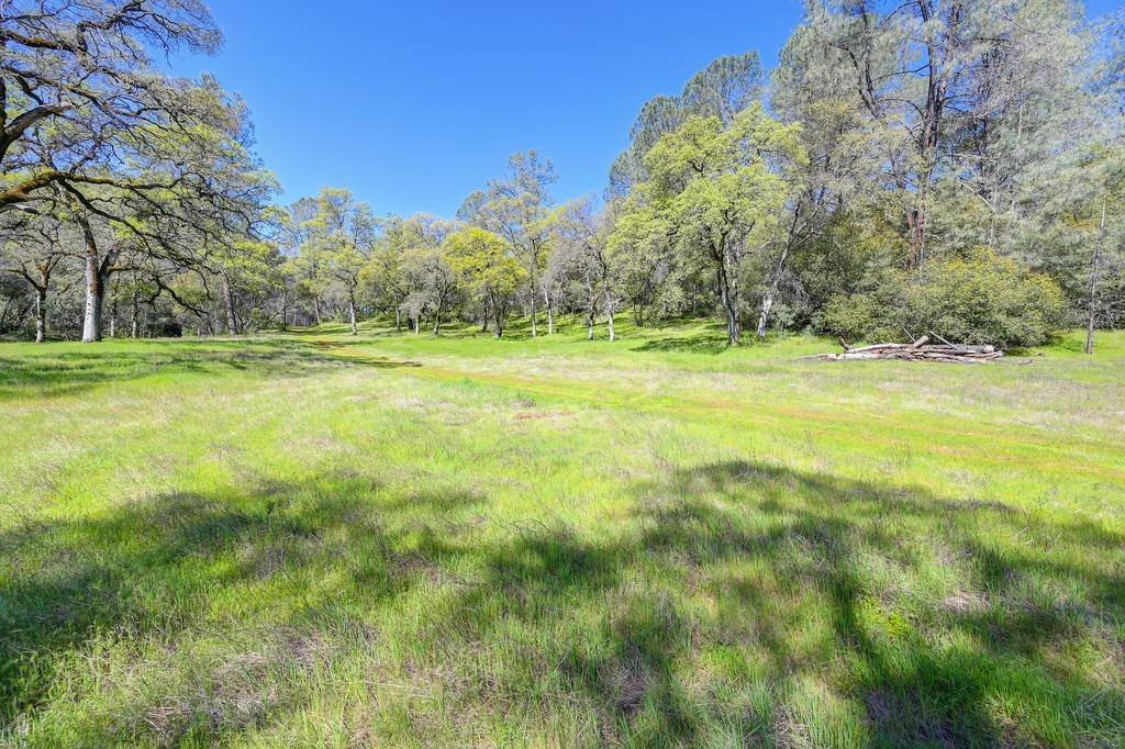 Greenwood, CA 95635,0 40 Acres - Five Oaks WAY