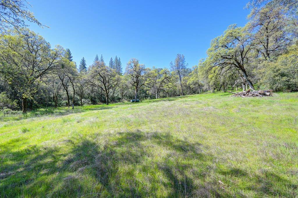 Greenwood, CA 95635,0 40 Acres - Five Oaks WAY