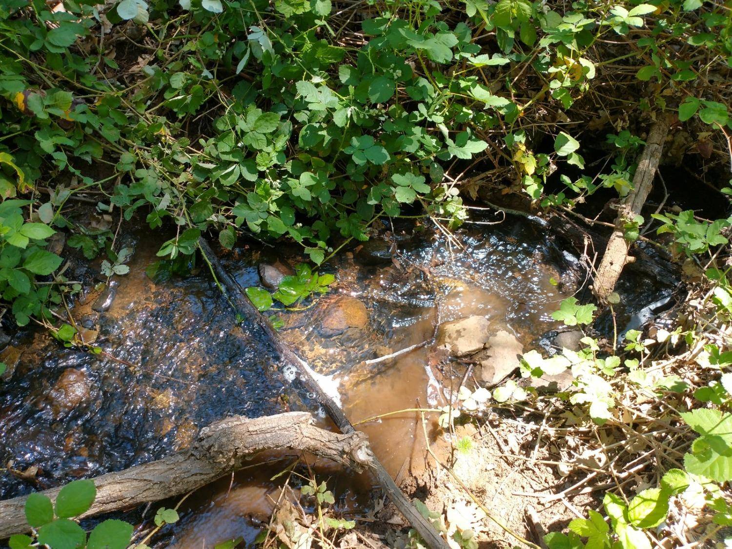 Greenwood, CA 95635,Address not disclosed