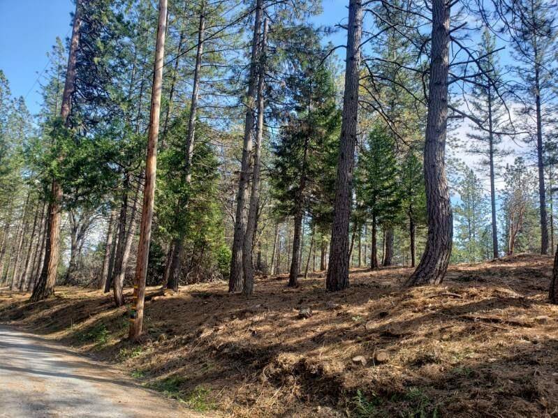 Georgetown, CA 95634,Lot 1 Harkness ST