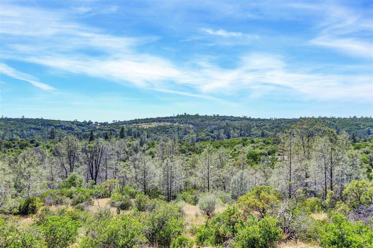 Grass Valley, CA 95949,21515 Duckabush CT