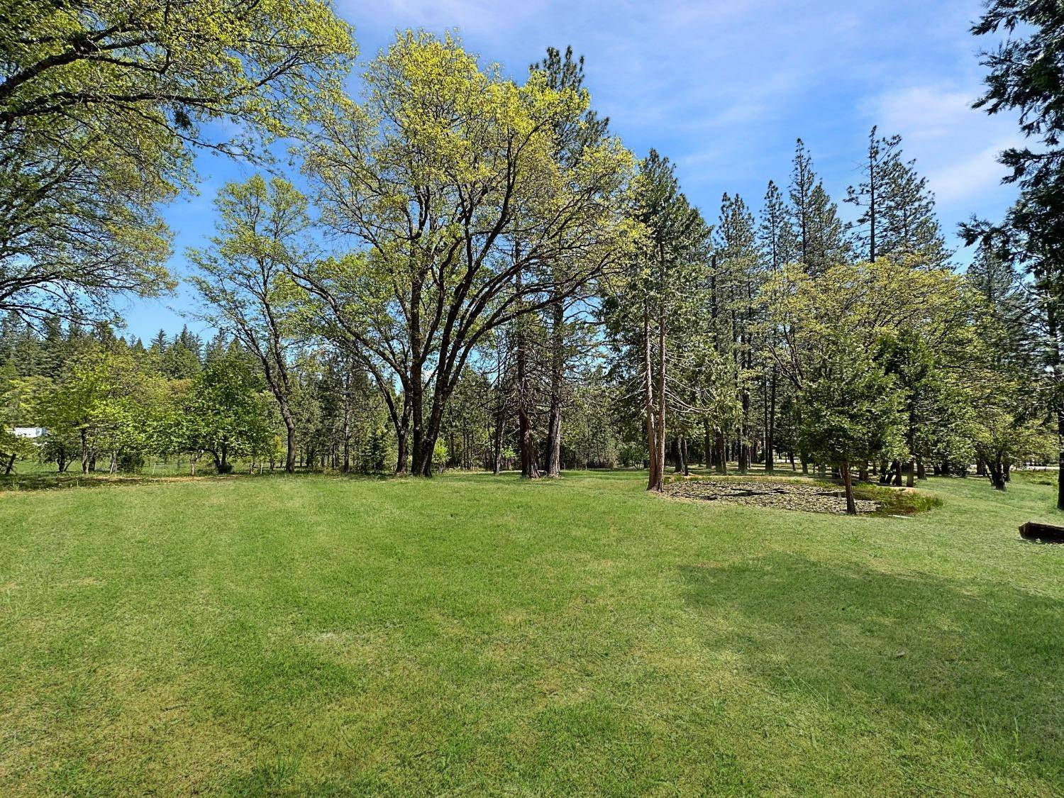 Grass Valley, CA 95945,13270 N Meadow View DR
