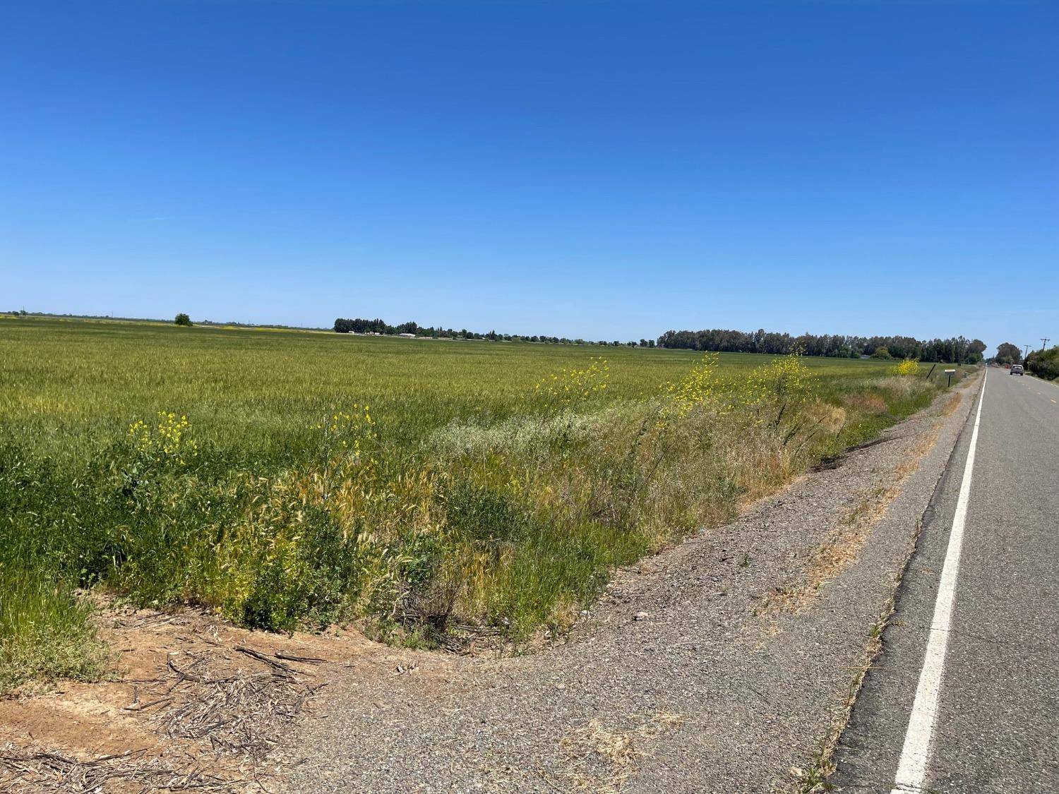 Woodland, CA 95695,23390 County Road 95