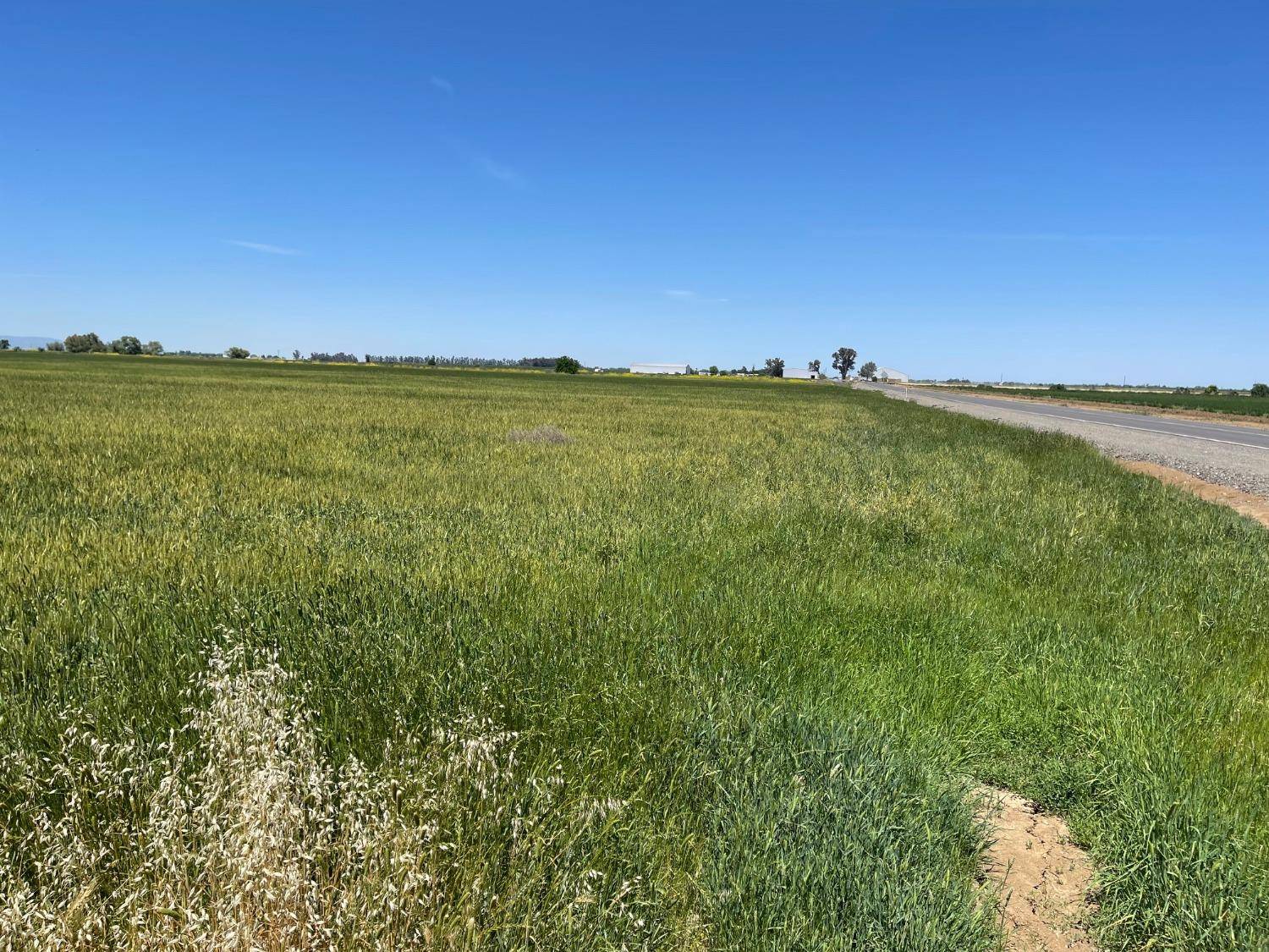 Woodland, CA 95695,23390 County Road 95