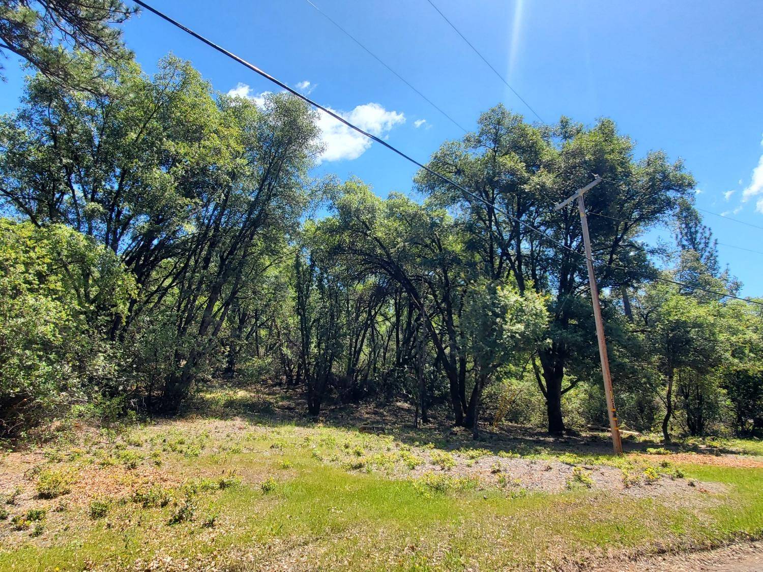 El Dorado, CA 95623,0 Freshwater LN