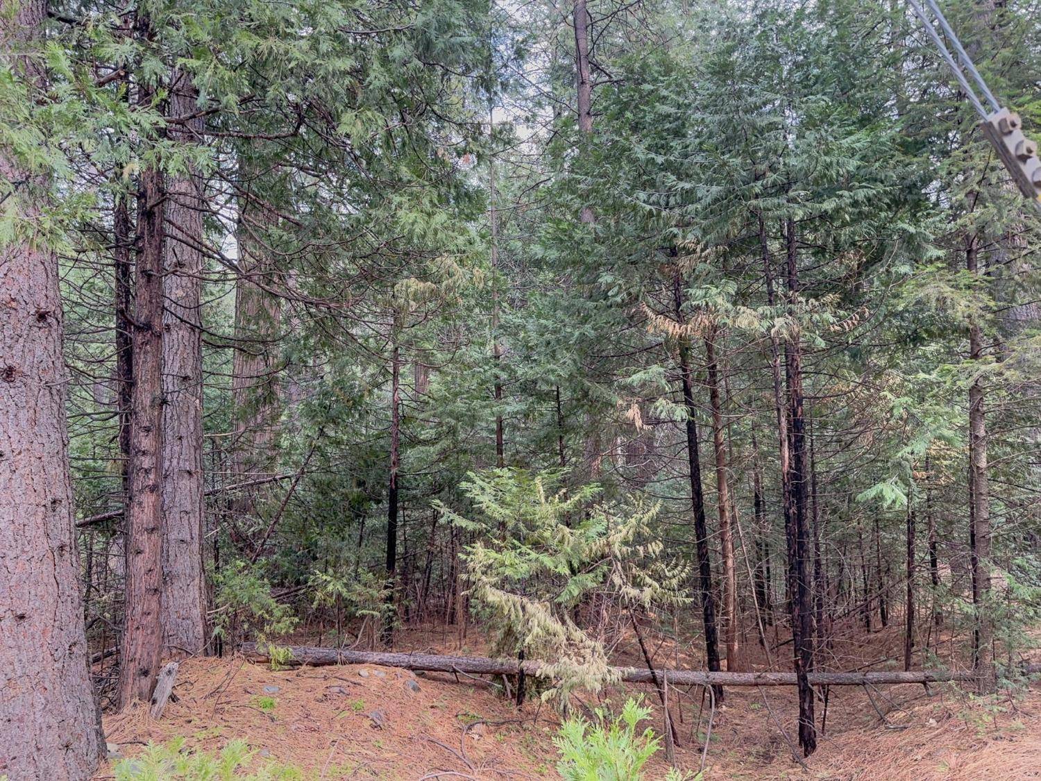 Pollock Pines, CA 95726,6134 Kokanee LN