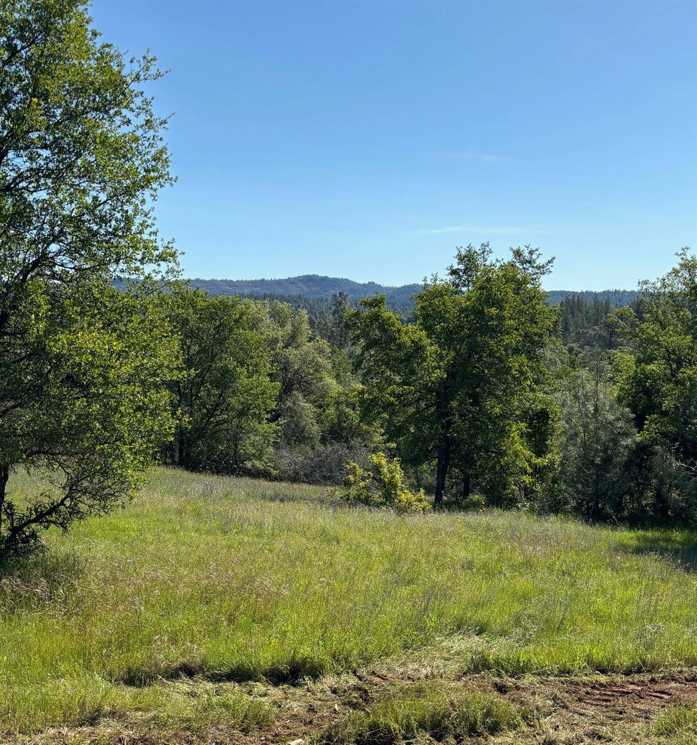 Placerville, CA 95667,6321 Claim ST