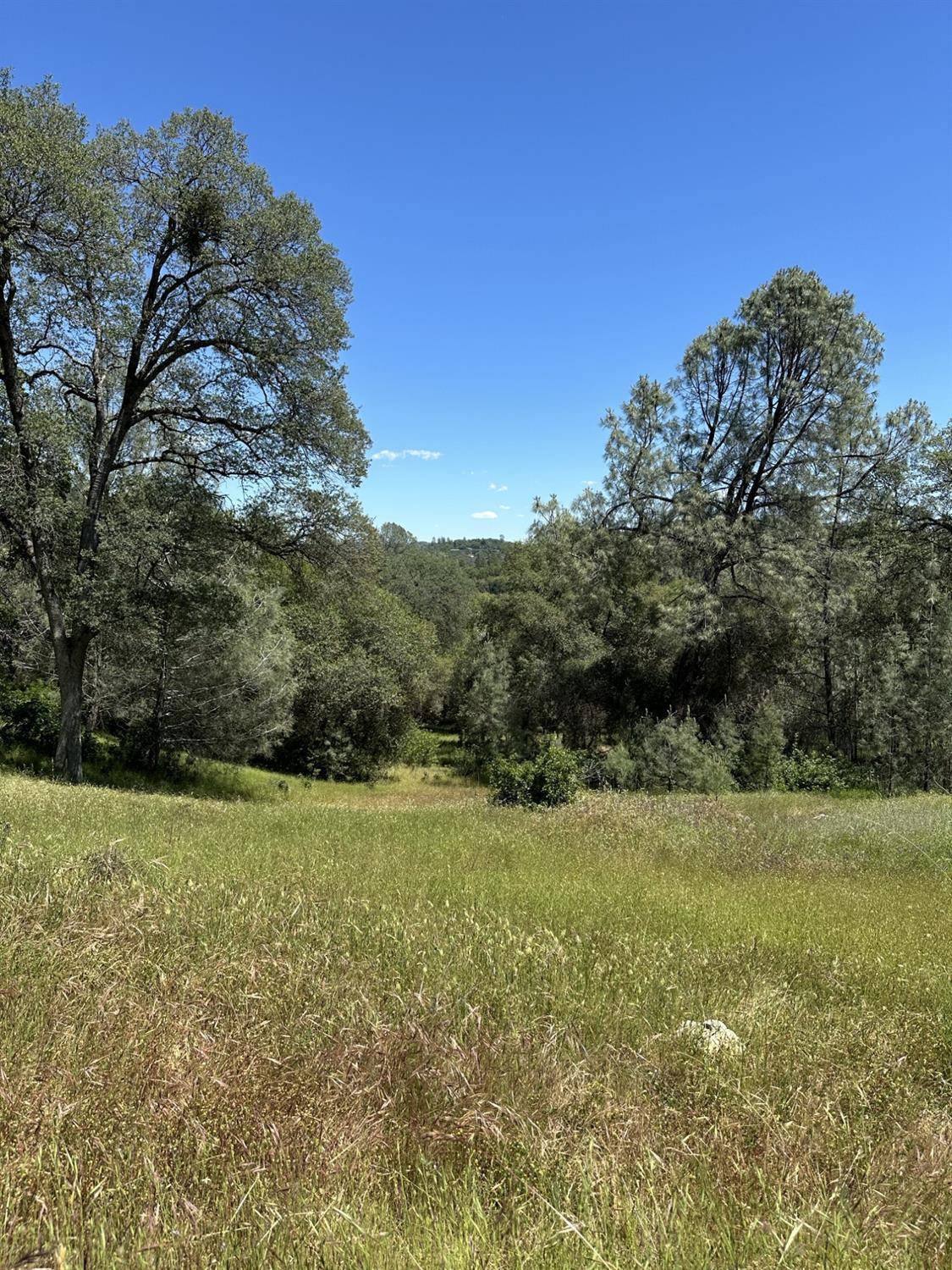 Penn Valley, CA 95946,12787 Country Heights DR